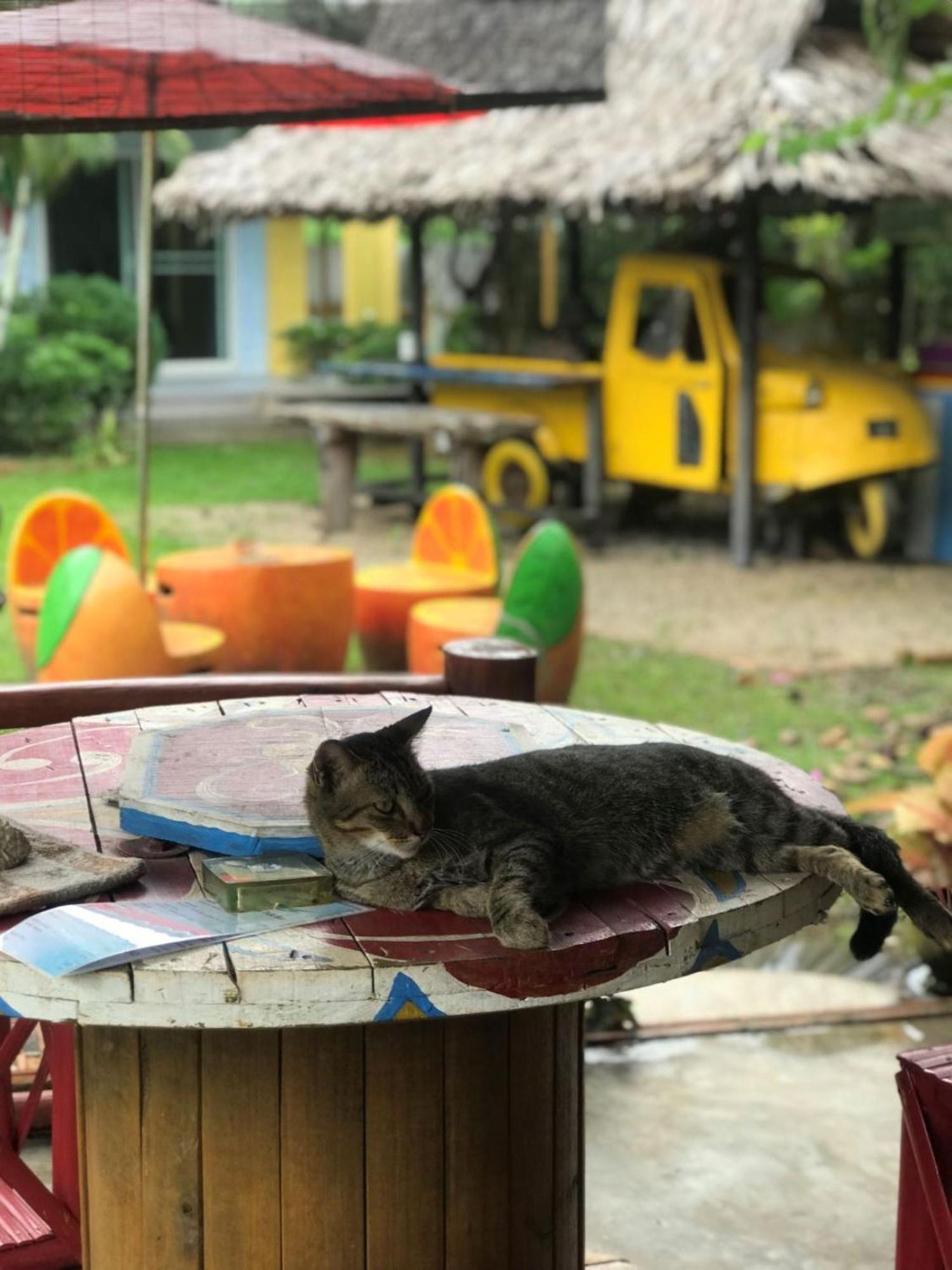 Ao Nam Mao Chill Out Village מראה חיצוני תמונה